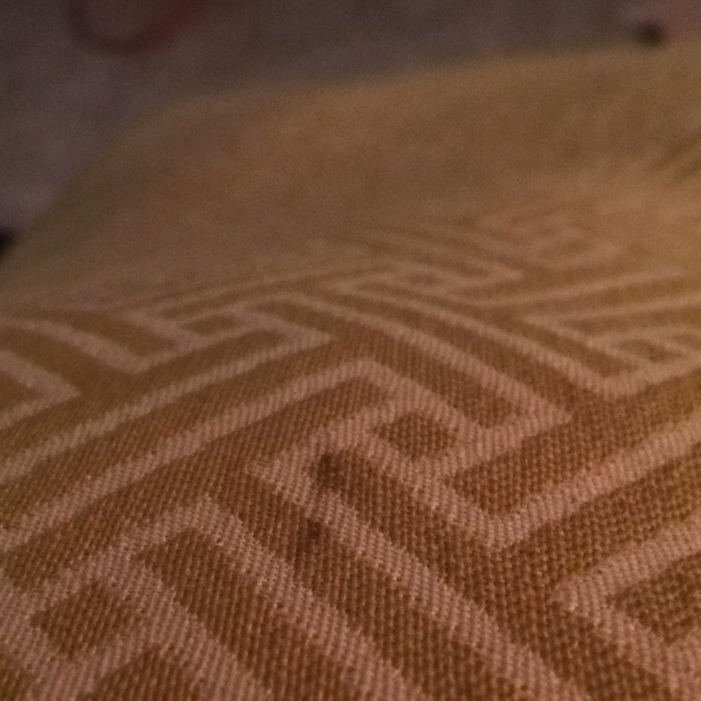 Meet your Posher, Thomasina